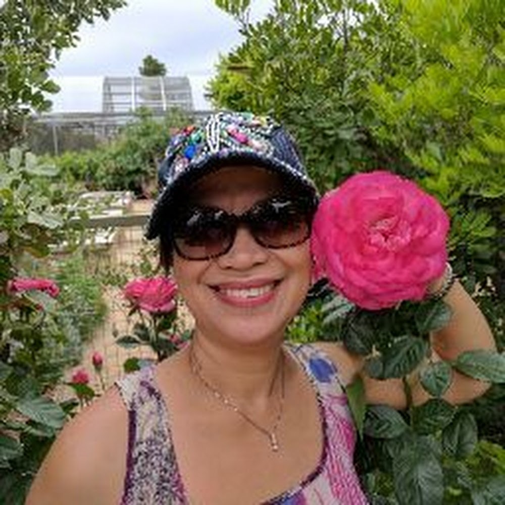 Meet your Posher, Elvie